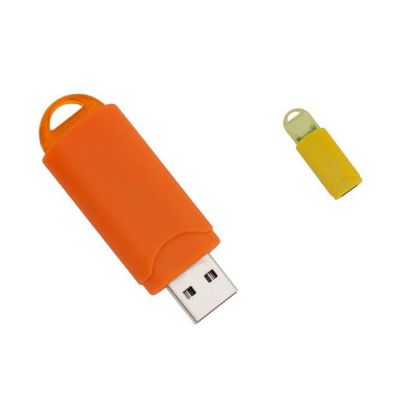 Customized 1GB Plastic Pull and Push USB Pen Drive