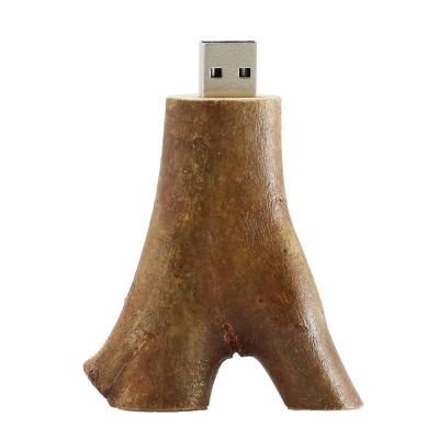 Laser Logo Natural Trees Removed 8GB USB Flash Drive 