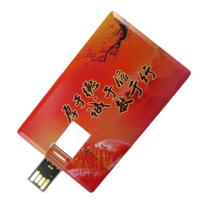 Wallet USB Business Card Pen Drive Memory 8GB Custom Logo