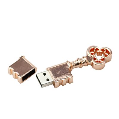 Low Price Bronze 2GB USB Key Flash Pen Drive