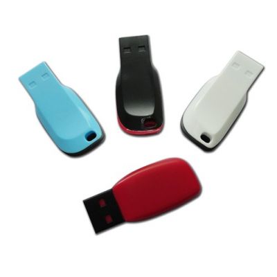 Promotional Plastic Cheap Waterproof Brand 2GB USB Flash Drives  