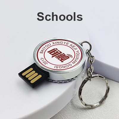 What is the Best School Souvenir USB Flash Drive?