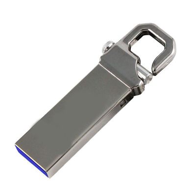 Alloy Buckle Fastest USB 3.0 Memory Stick 256GB Logo Print