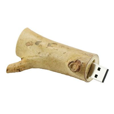 Tree Branch 16G Flash Drive USB Friendly Wood Materials