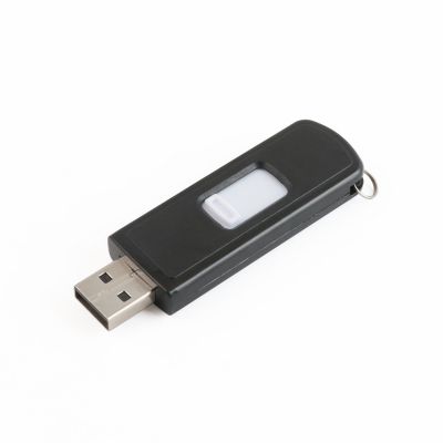 China Factory Gift Push and Pull USB Flash Disk Pendrive 