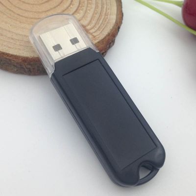 Epoxy Logo USB 1tb Memory Stick Bulk Price with Keychain