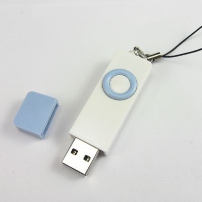 Plastic Promotional USB Branded Thumb Drives 32GB Factory Price